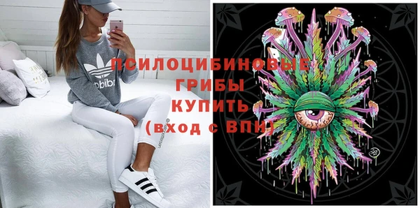 кокс Алагир