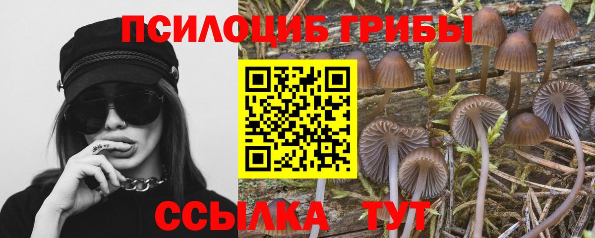 Псилоцибиновые грибы ЛСД  Вход с VPN  Костомукша 