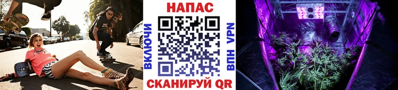 МЕГА сайт Костомукша маркетплейс формула где можно купить Конопля LSD WEED
